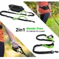 Bungee Hands Free Dog Leash