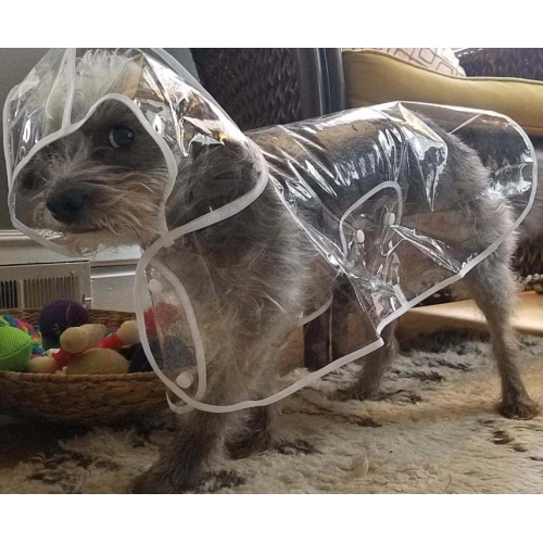 Pet Dog Raincoat Waterproof