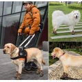 Pet Dog Boots Waterproof