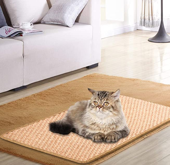 Cat Playing Pads