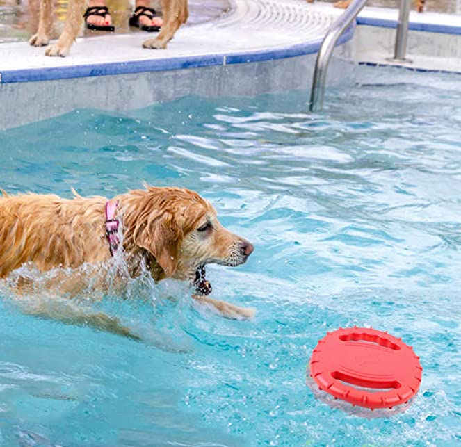 Rubber Dog Flying Disc