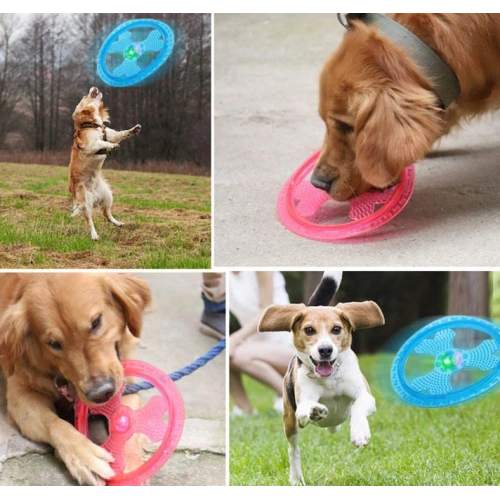 Pet dog Large frisbee