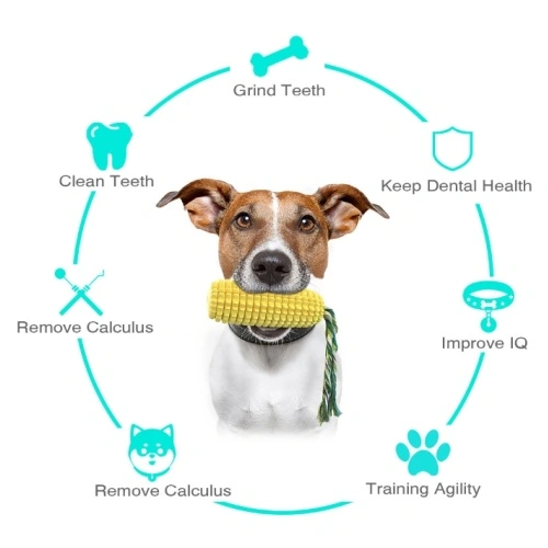 Squeaky Pet Dog Chew Toy